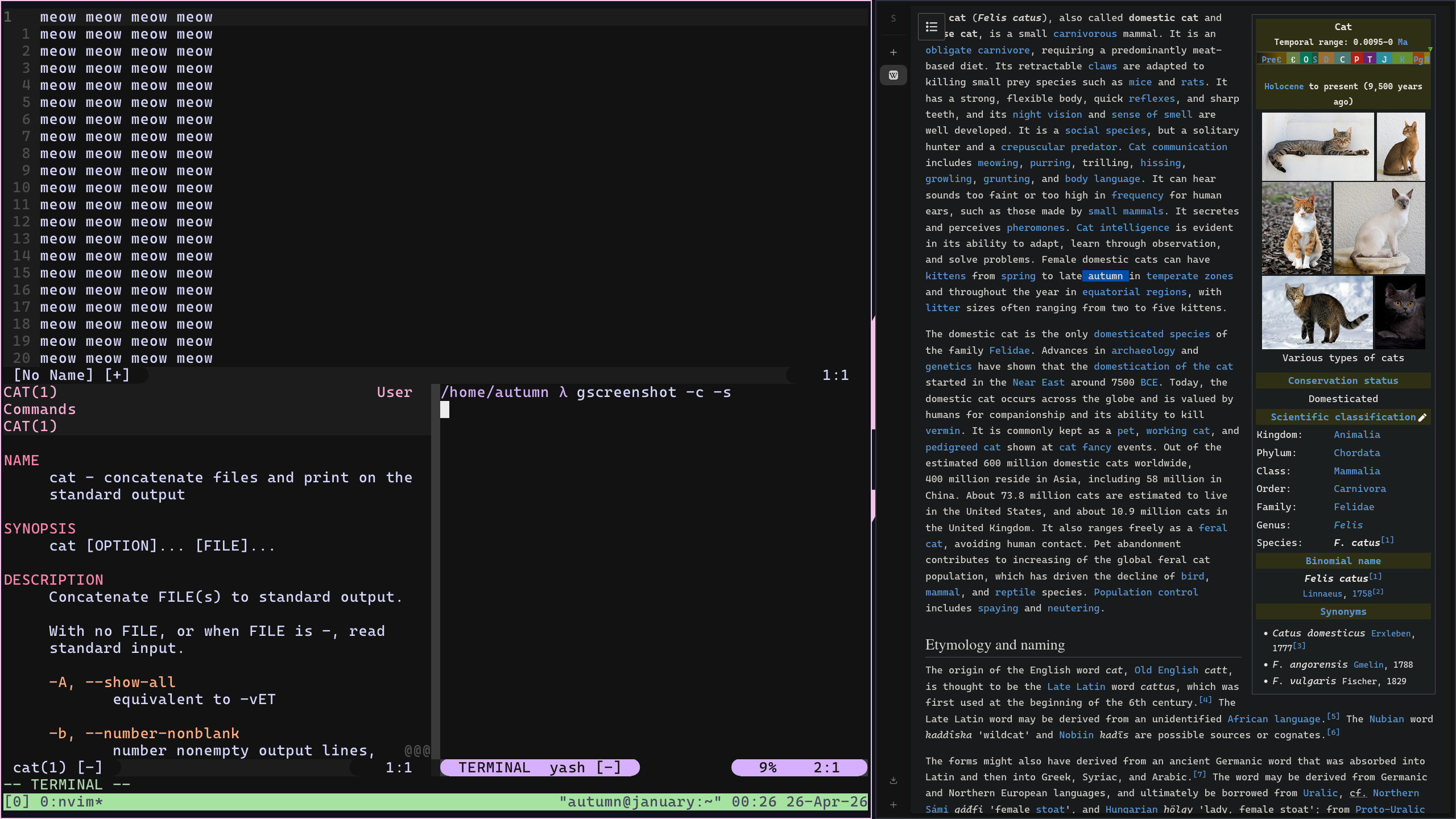 Preview of my configuration