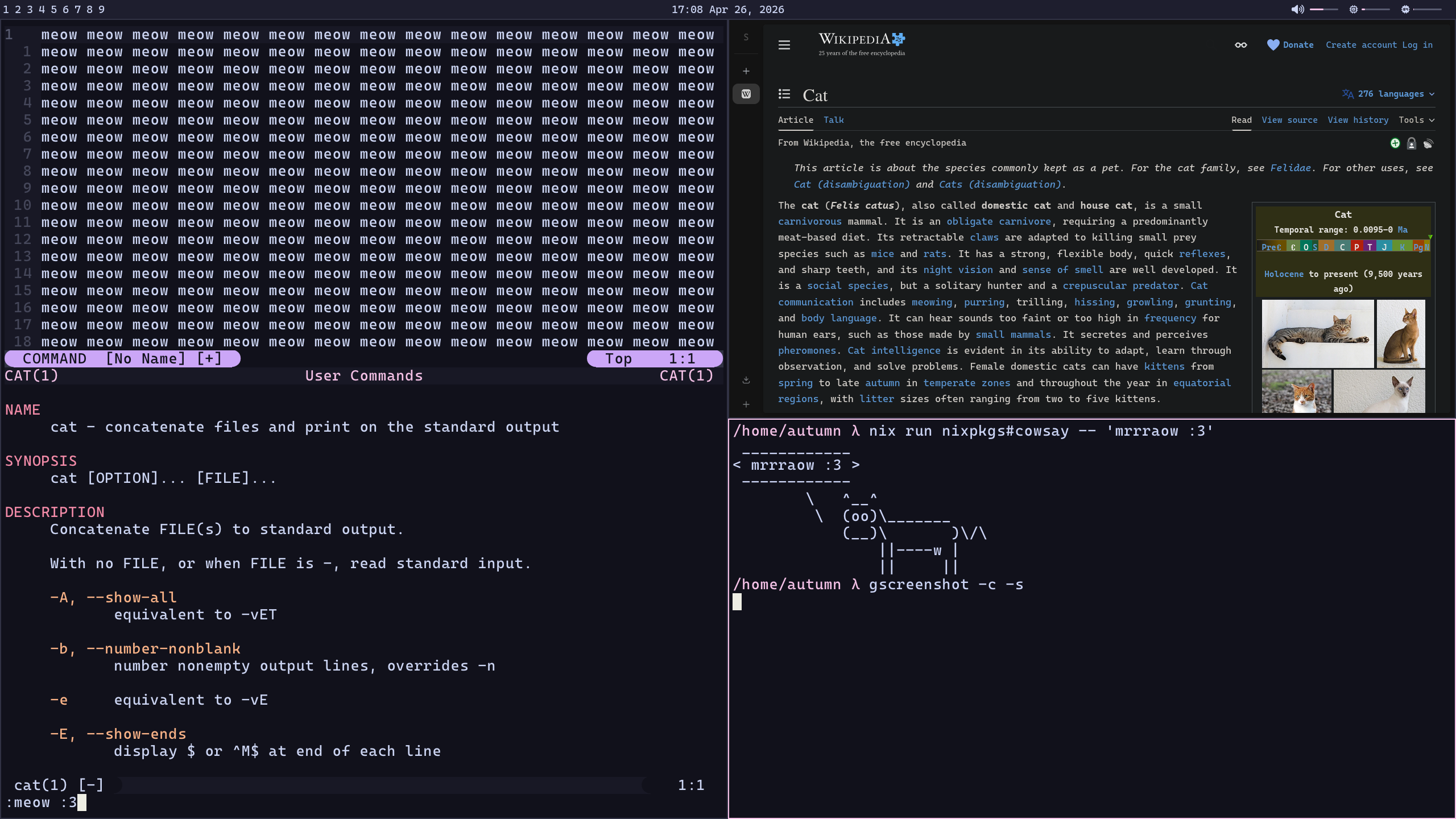 Preview of my configuration